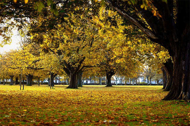 Beautiful colours of autumn and why I love this time of the year