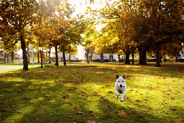 Why I love Autumn