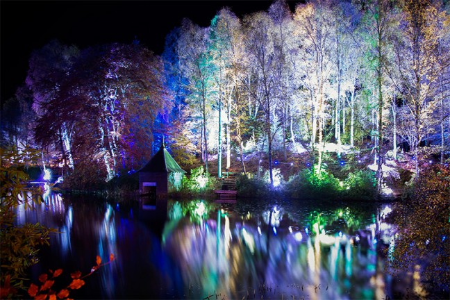 Visiting an enchanted forest
