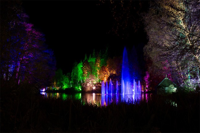 Visiting an enchanted forest