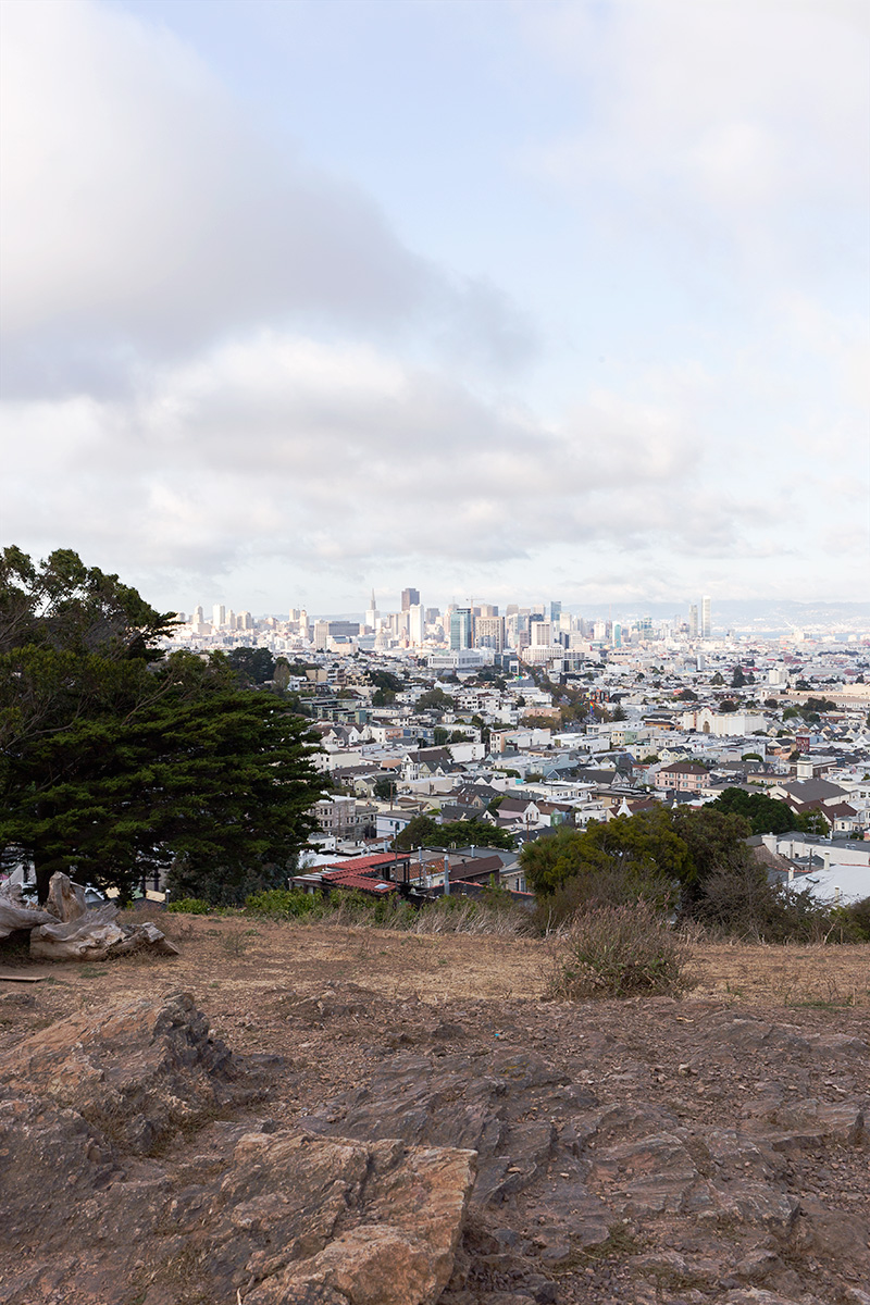 dgp-kite-hill-san-francisco-california-139