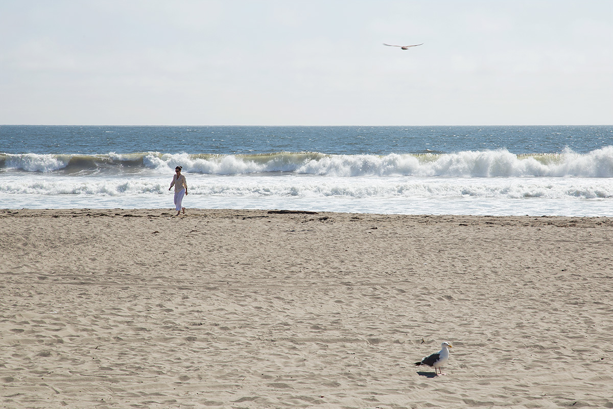 dgp-stinson-beach-017