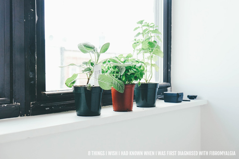 Photo shows three plants in pots lined up on a white windowsill. The text overlay in the bottom right corner reads "8 things I wish I had known when I was first diagnosed with Fibromyalgia"