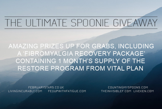Ultimate Spoonie Giveaway