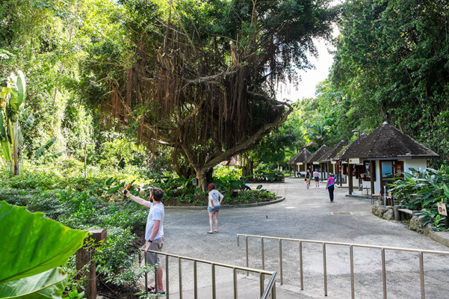 barbados_blog_021