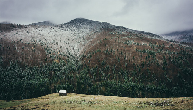 Photography credit: Buzac Marius