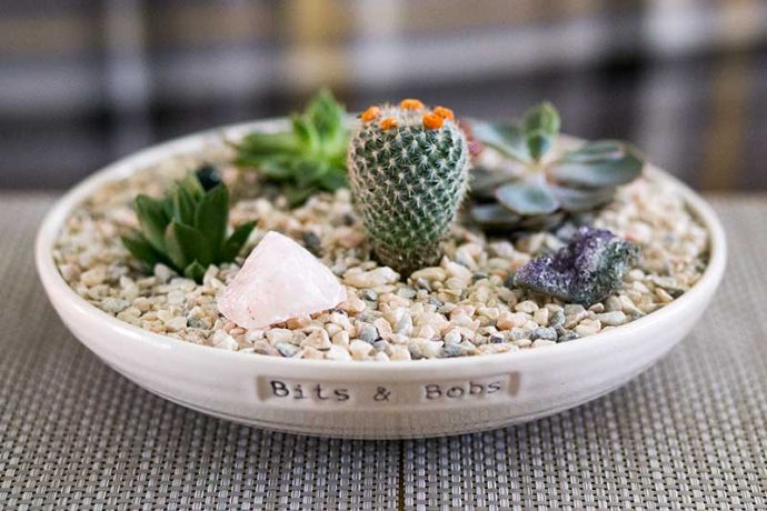 Create a DIY mini peace garden for your home using succulents and crystals. A peaceful, relaxing and meditative space for healing when you are chronically ill.