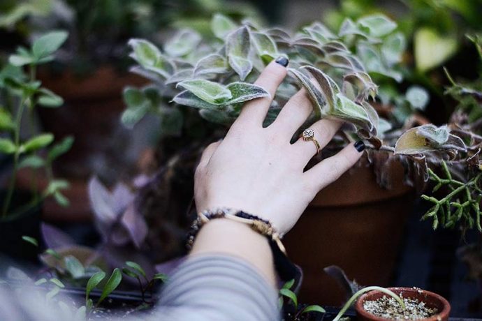 Plants can be beneficial to our health. Find out about the health benefits of plants in this article. Click to read or pin to save for later.