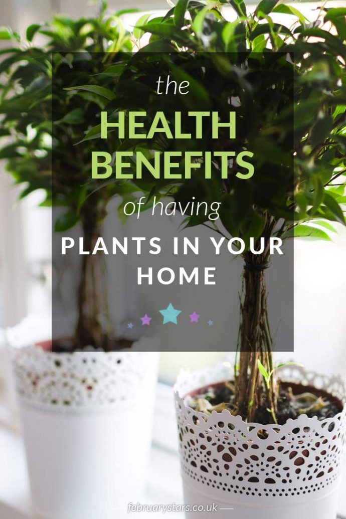Plants can be beneficial to our health. Find out about the health benefits of plants in this article. Click to read or pin to save for later.