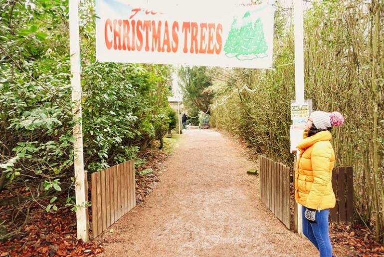 Making it out of the house to go and get our Christmas tree. 8 week post stem cells update.