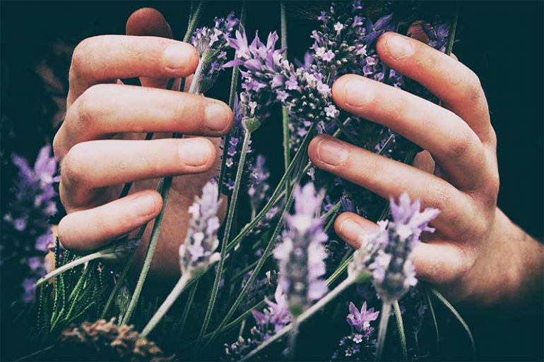10 strategies I use to help improve mental health. Photo shows a close-up of a person's hands touching wild lavender flowers