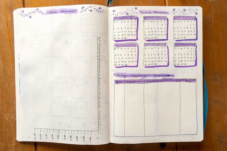 My bullet journal health trackers for February. On the left is a steps tracker on the right are individual habit trackers and an income/expenses tracker.