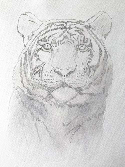 Image shows the first layers of shadows I painted with watercolour