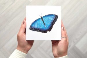 This greeting card features a blue morpho butterfly illustration and no text