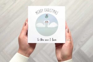 Cute Christmas card that features two swans facing each other under mistletoe. There is a circular light blue background. Card reads Merry Christmas To the one I love.
